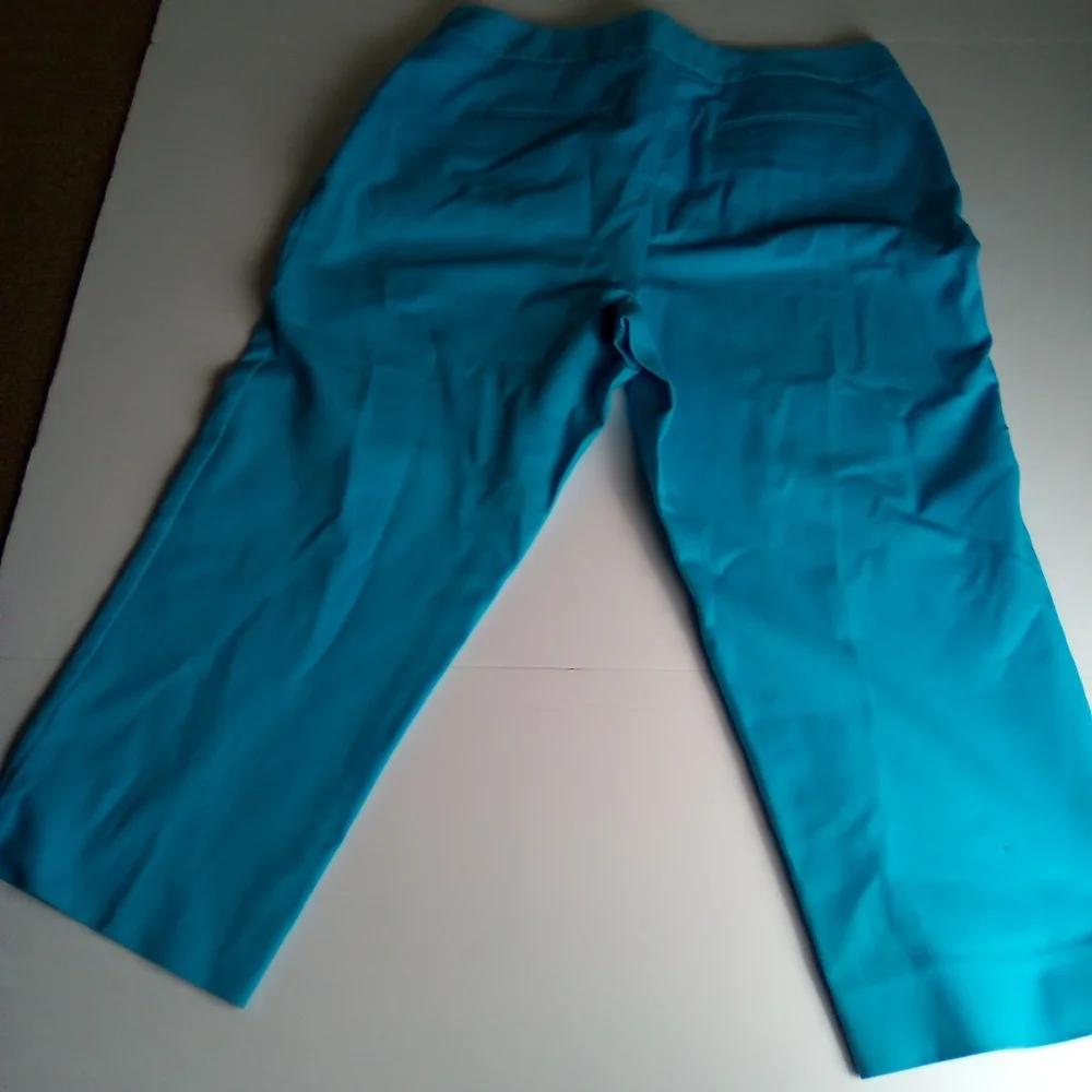 RAFAELLA Women's Turquoise Cropped Pants SIZE 14 - Picture 5 of 7